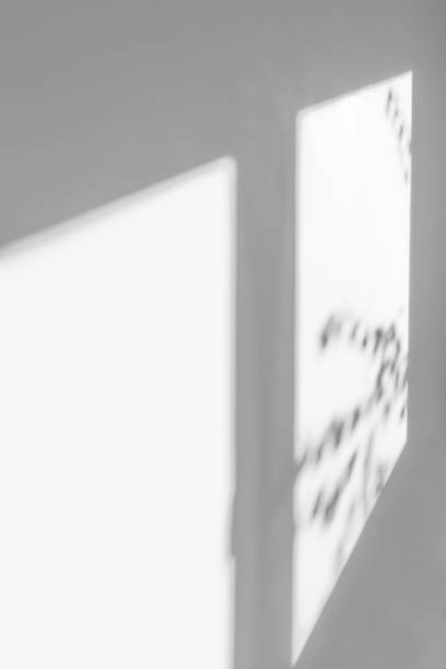 istock Beautiful shadow from the window on the concrete wall indoors. Abstract background with reflection and silhouette. Gray mockup. 1354822719
