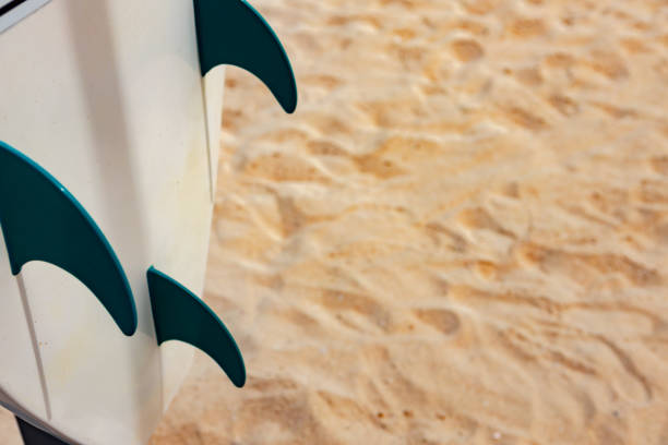 tails of a surfboard on the sand in a beach - surfboard fin imagens e fotografias de stock