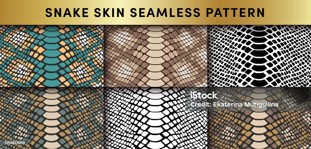 Trendy Snake Skin Vector Seamless Patterns Set Hand Drawn Wild Animal Reptile Skin Natural Snake Repeat Texture For Fashion Print Design Fabric Textile Wrapping Paper Background Wallpaper Stock Illustration - Download Image Trendy Snake Skin Vector Seamless Patterns Set Hand Drawn Wild Animal Reptile Skin Natural Snake Repeat Texture For Fashion Print Design Fabric Textile Wrapping Paper Background Wallpaper Stock Illustration - Download Image