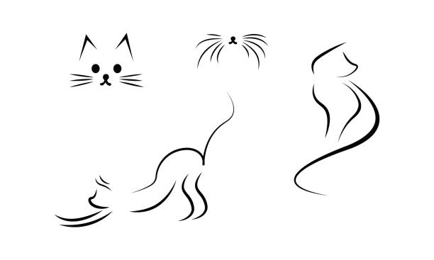 Animal and Wildlife Vector set of cute style cat in different poses. Animal character illustration design. simple cat line art stock illustrations