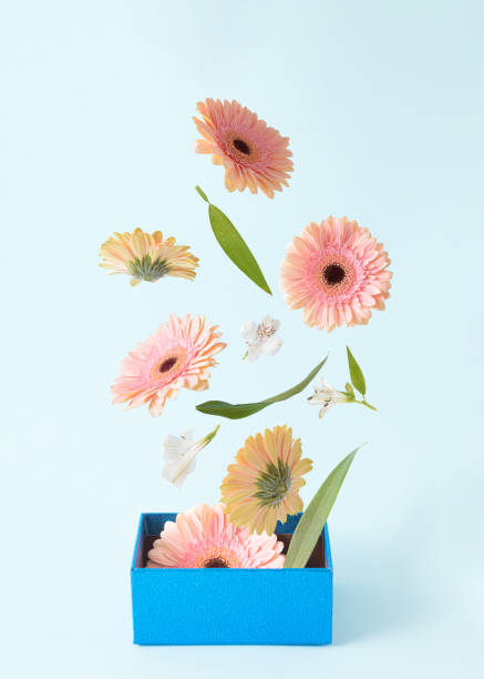 istock Pink flowers flying into the blue gift box 1354826725