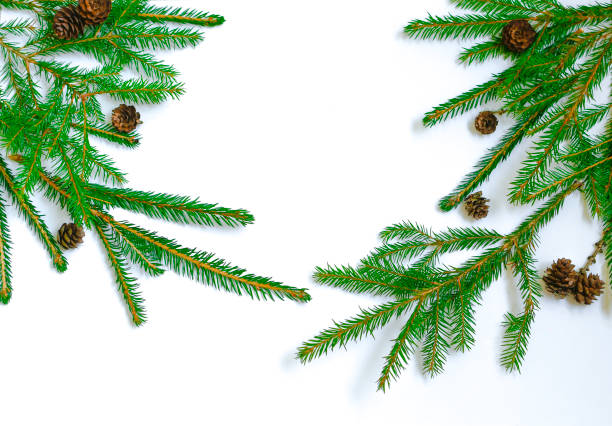 istock Spruce twigs on a white background. Beautiful branches with needles and cones on the left and right. 1354828522