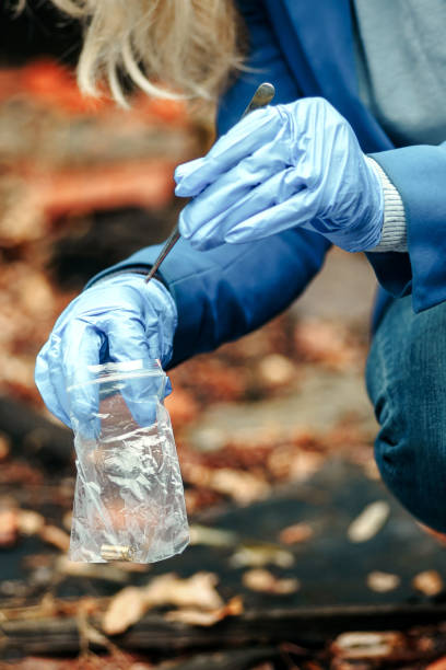 istock An inspector takes an empty cartridge case from a crime scene with a firearm 1354829180