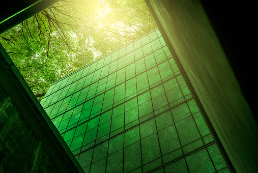 Edificio ecológico en la ciudad moderna. Edificio de oficinas de vidrio sostenible con árbol para reducir el calor y el dióxido de carbono. Edificio de oficinas con entorno verde. Los edificios corporativos reducen el CO2. photo