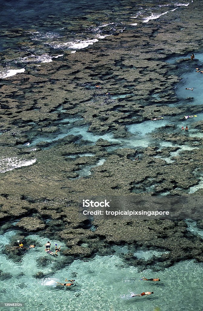 États-Unis, à Hawaï O'ahu, la baie de Hanauma, de récifs de corail. - Photo de Hanauma Bay libre de droits