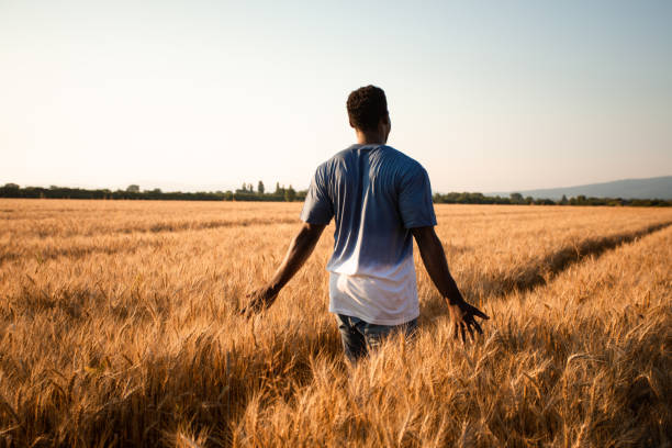istock Rear View Of Man Standing On Field 1354832059