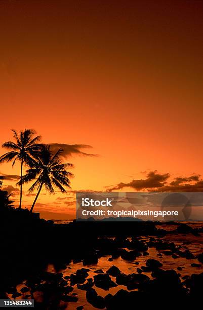미국 하와이 도회적인 노스 쇼어 0명에 대한 스톡 사진 및 기타 이미지 - 0명, 나무, 노스 쇼어-오아후