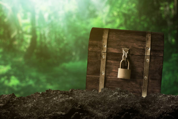 istock Wooden treasure chest on the forest 1354833498