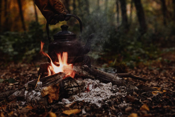 istock Old vintage black pot on Firewood burning. kettle on fire 1354834986