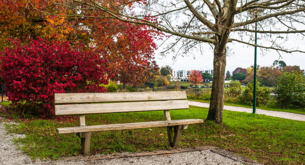 istock bench by a lake in autumn 1354840717