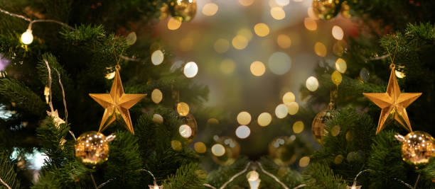 Free Stock Photo of Close Up of a Christmas Tree With Lights | Download ...