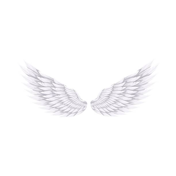istock White wings of Angel or bird 1354845139