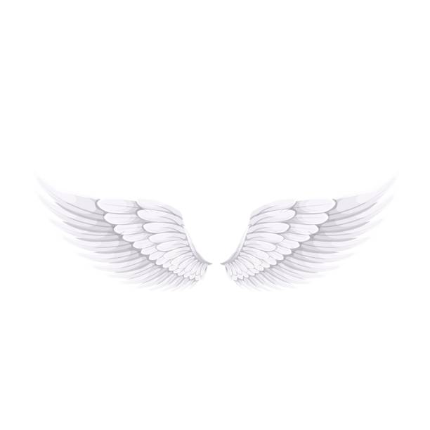istock White wings of Angel or bird 1354845153