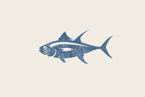 ilustraciones, imágenes clip art, dibujos animados e iconos de stock de silueta de atún fresco para mercado de alimentos y restaurante de mariscos dibujado a mano efecto de sello ilustración vectorial - pescar ilustraciones