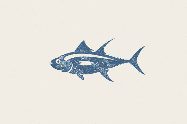 Fresh tuna fish silhouette for food market and seafood restaurant hand drawn stamp effect vector illustration Fresh tuna fish silhouette for food market and seafood restaurant hand drawn stamp effect vector illustration. Vintage grunge texture emblem for package and menu design or label decoration. commercial tuna fishing stock illustrations