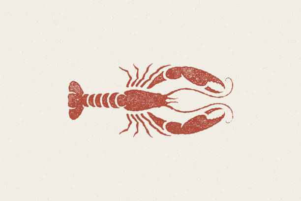 illustrations, cliparts, dessins animés et icônes de silhouette de homard pour le menu du restaurant de fruits de mer et logo dessiné à la main effet de tampon illustration vectorielle - homard