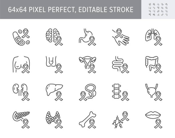 Cancer types line icons. Vector illustration include icon - breast, stomach, respiratory, pancreas, kidney, testicles, uterine outline pictogram for oncology. 64x64 Pixel Perfect, Editable Stroke Cancer types line icons. Vector illustration include icon - breast, stomach, respiratory, pancreas, kidney, testicles, uterine outline pictogram for oncology. 64x64 Pixel Perfect, Editable Stroke. thyroid disease stock illustrations