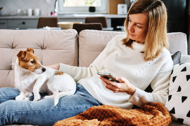 istock Woman sit with dog and use smartphone 1354848414