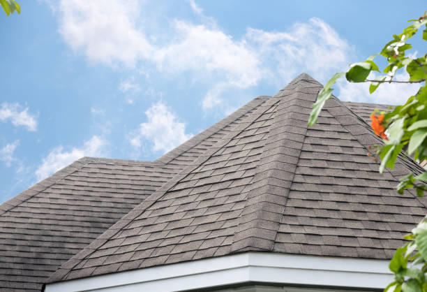 屋根の屋根の帯状疱疹のエッジは、屋根の背景に暗いアスファルトタイル、家の上に。 - roof pattern ストックフォトと画像