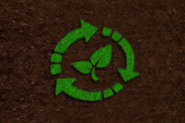 Isolated Green Energy Cycle with Leaf and Arrow Design