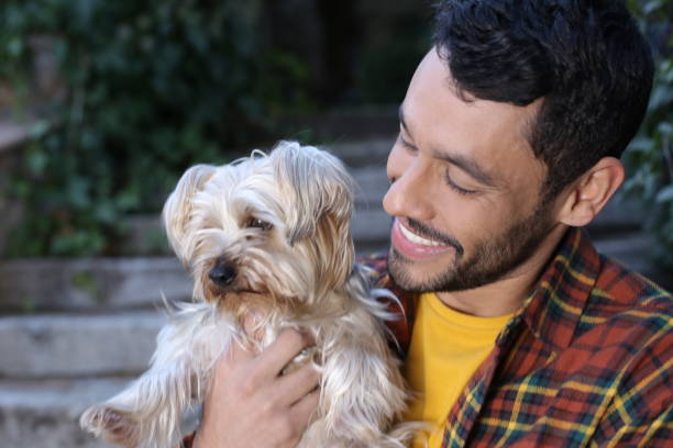 istock Handsome ethnic man with Yorkshire Terrier 1354851469