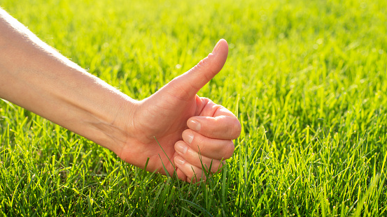 Thumb up gesture on grass lawn background.