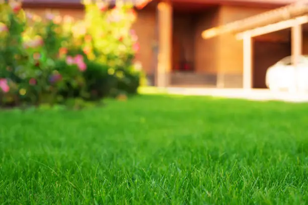 Mowed green frontyard grass before residential suburban house summer sunny day