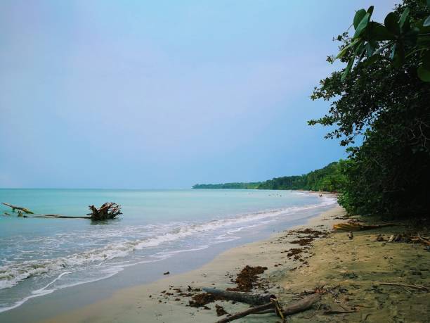 istock Tropical beach on Costa rica 1354854212