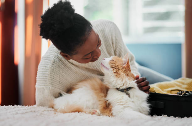 shot of a beautiful young woman being affectionate with her cat at home - kat stockfoto's en -beelden
