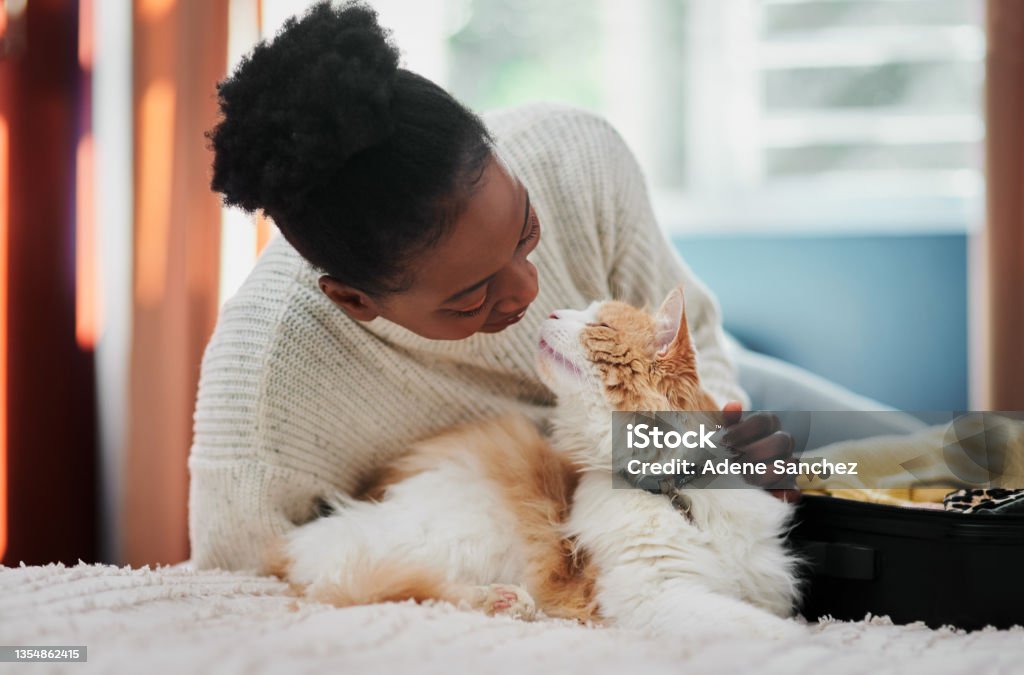 Shot of a beautiful young woman being affectionate with her cat at home What is that? you ate without me?! Domestic Cat Stock Photo