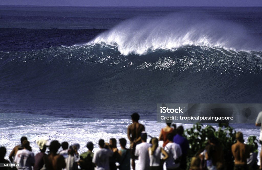 USA Hawaii Oahu, North Shore, Waimea Bay, onda. - Foto stock royalty-free di Acqua