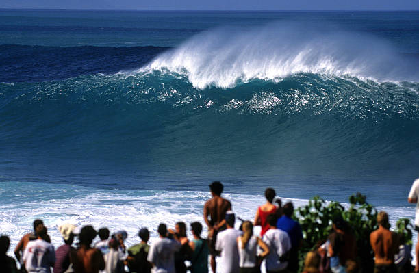 istock USA Hawaii O'ahu, North Shore, Waimea Bay, Wave. 135486524
