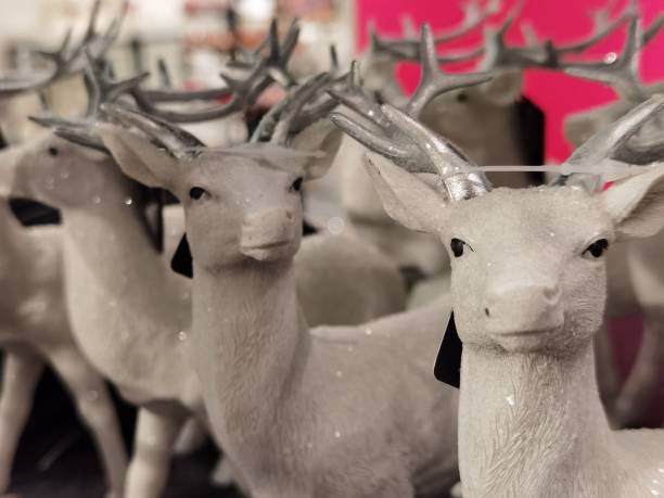 istock Deer lined up one behind the other with different directions of view 1354866285