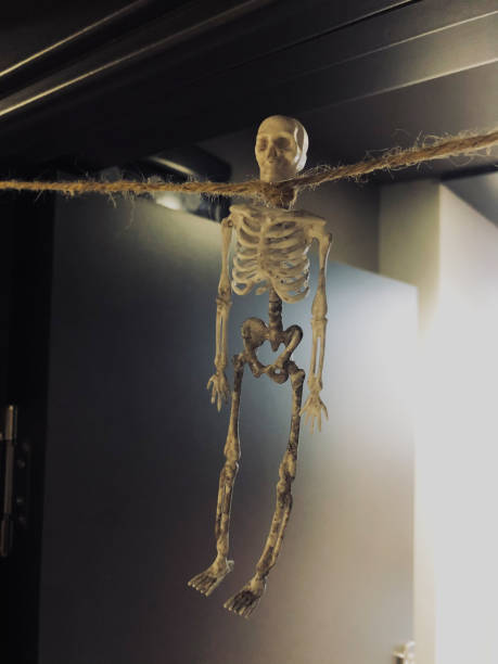 istock Skeleton hanging on a rope by the neck Halloween holiday concept 1354867749
