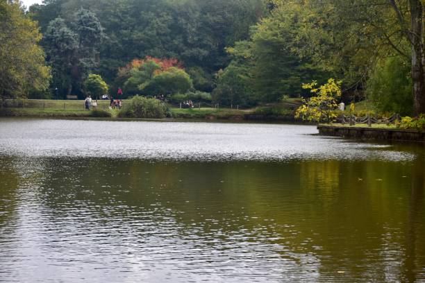 istock Autumn at the lake 1354869150