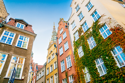 Old town of Gdansk (Srodmiescie historic district) - buildings covered with ivy. Blue cloudless sky on the background.