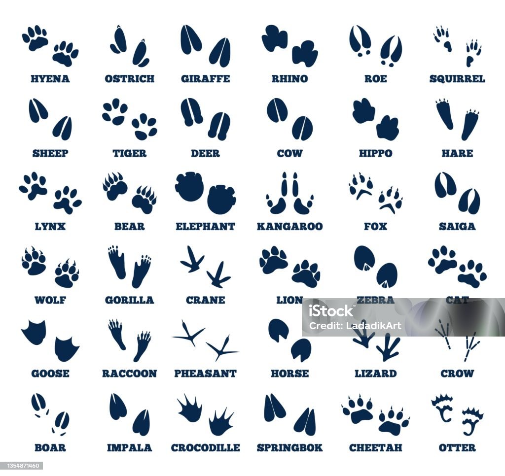 Знак лапка птицы