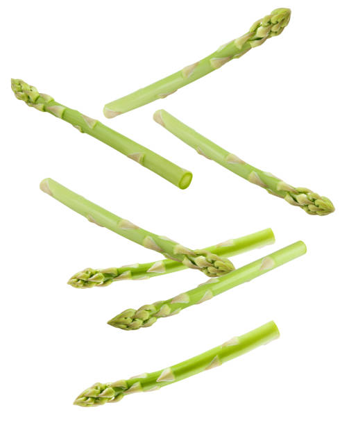 falling asparagus isolated on white background, clipping path, full depth of field - asparagus imagens e fotografias de stock