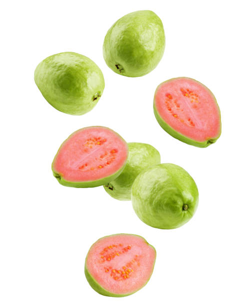 흰색 배경에 고립 된 떨어지는 구아바, 클리핑 경로, 전체 깊이의 필드 - guava vegetable tropical climate fruit 뉴스 사진 이미지