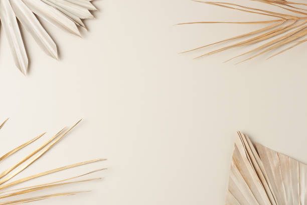 istock Tropical natural background with palm leaf on pastel beige. Flat lay, copy space 1354873958