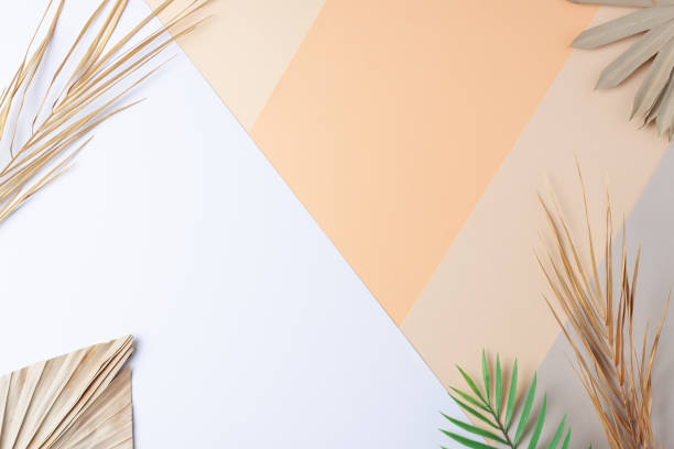 istock Tropical natural background with palm leaf on white, beige and gray. Flat lay, copy space 1354873964
