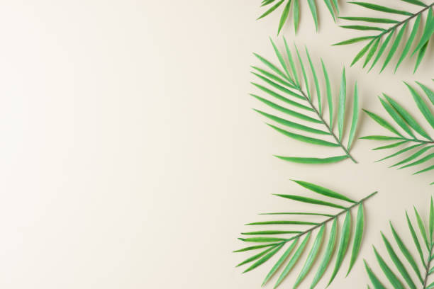 istock Cosmetic background with palm leaf on pastel beige. Flat lay, copy space 1354873978