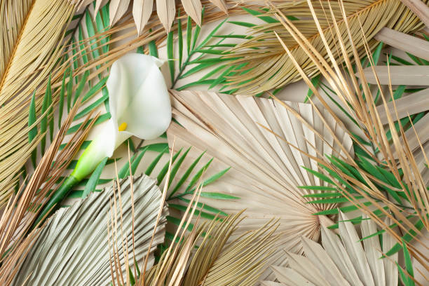 istock Tropical natural background with palm leaf and flower 1354873989