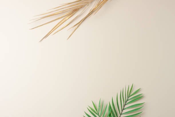 istock Tropical natural background with palm leaf on pastel beige. Flat lay, copy space 1354873990