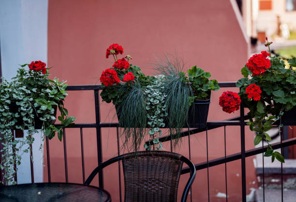 istock beautiful outdoor terrace 1354874202