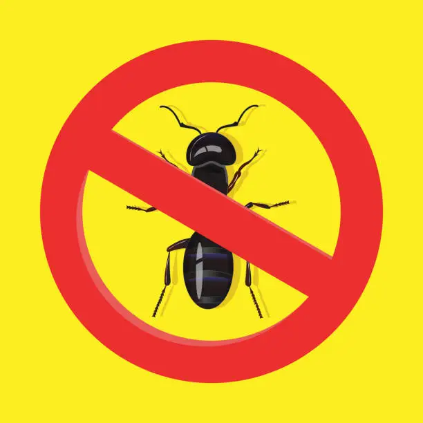 Vector illustration of Warning sign no insect with black ant on yellow background. No ants vector sign for insecticide.