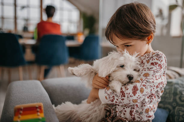 istock Little girl hugging her puppy 1354877764