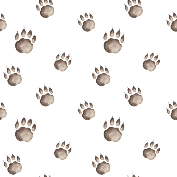 istock Watercolor seamless pattern from hand painted illustration of brown paws of predator as tiger, bear, cat, dog or wolf, foot print with claws on white background. Abstract ornament for design textile 1354879879