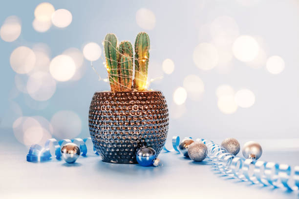 Cactus decorated with Christmas lights and ornaments on blue background, Christmas tree alternatives, innovative Christmas tree
