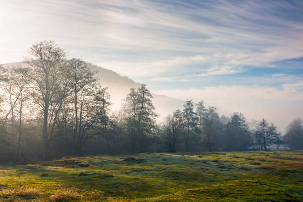 istock countryside scenery at sunrise 1354884648